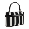 Striped Vanity Box Bag - Angled